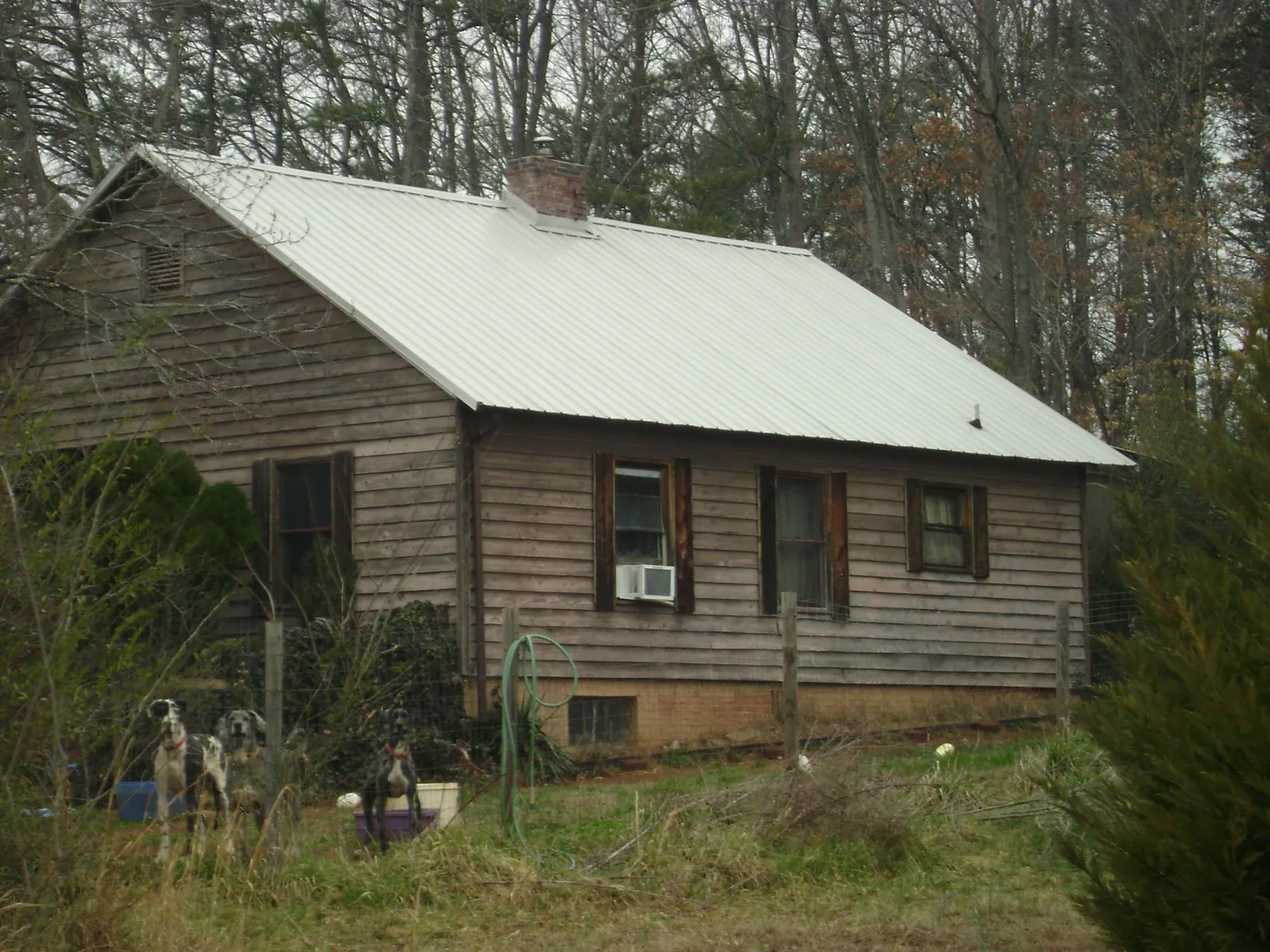 White metal roof on an old wood sided farmhouse, from a Asphalt Shingle Roof Repair job in Munson